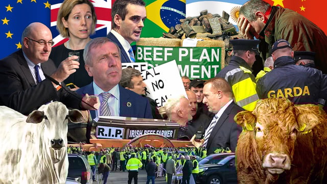 Beef Industry Review: Where to in 2020?