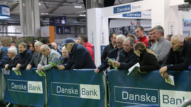 Winter Fair: Crowds flock to Northern Ireland's biggest dairy show