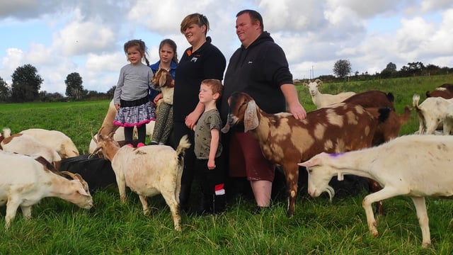Courses highlight goats as serious alternative; no kidding