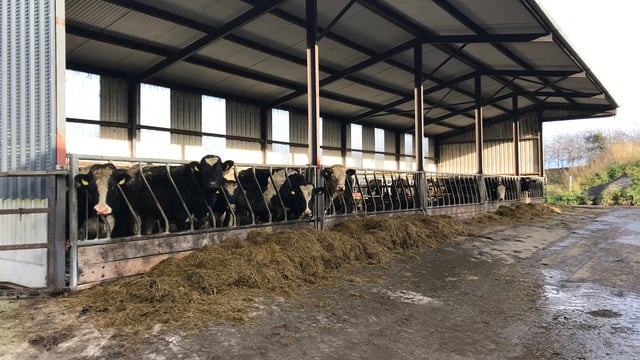 Sticking to the plan and implementing a finishing programme in Co. Meath