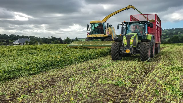 Look back: Wholecrop soybean harvest in Co. Wicklow