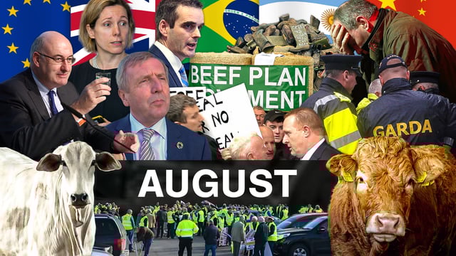 Beef Industry Review: August
