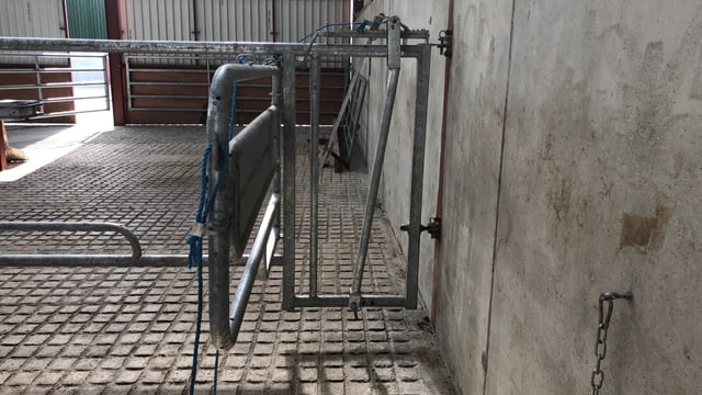 What are the benefits of calving gates?