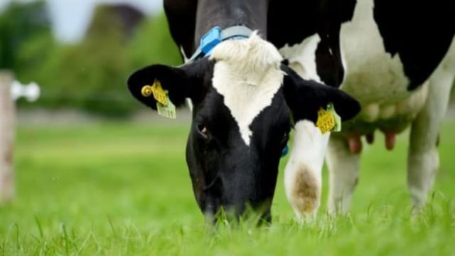 How can the EBI reduce our environmental impact on Irish dairy farms?