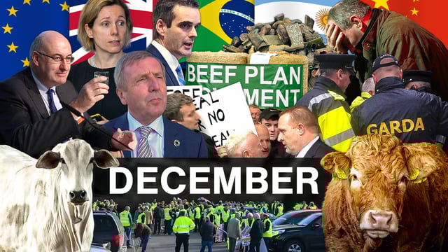 Beef Industry Review: December