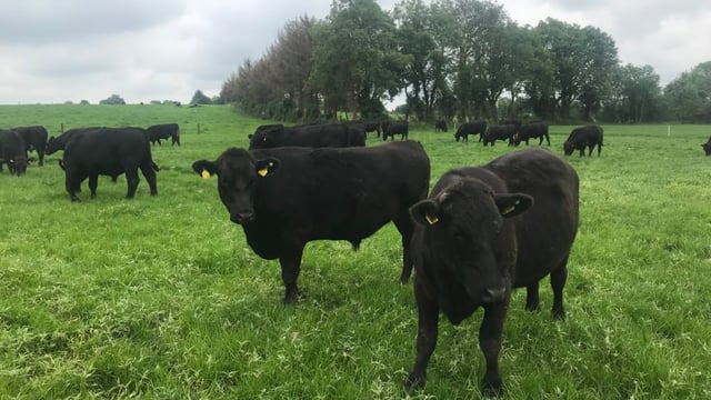 Reflecting on an eventful 2019 and preparing for a busy spring in 2020