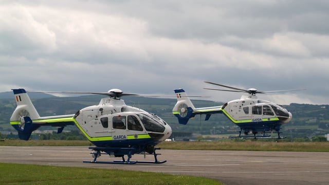 Garda air support on hand in fight against Christmas tree theft