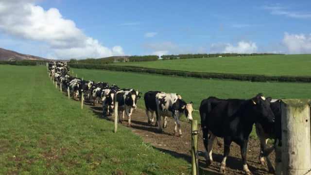 IGA Dairy Conference: What's in store at this year's event?