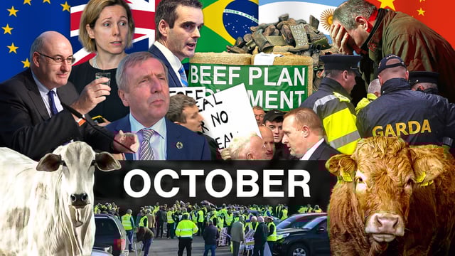 Beef Industry Review: October
