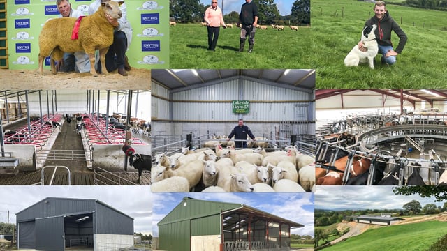 Back in focus: 10 sheep and buildings focus pieces from the past