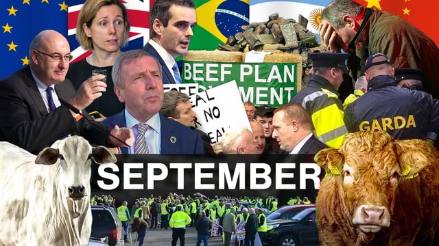 Beef Industry Review: September
