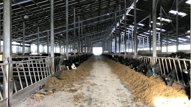 Dairy farmers urged to look inside their farmgate before considering further expansion