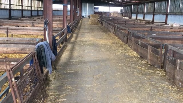 Sheep housing: Are your facilities up to scratch for the winter period?