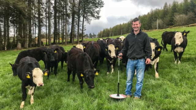 Revisited: How this beef farmer influenced his dairy siblings on sire selection