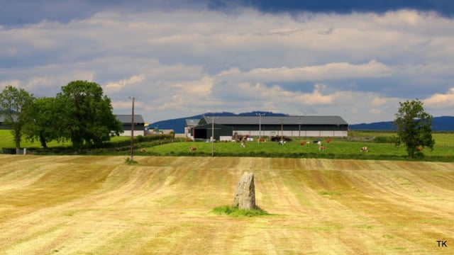 Revisited: Managing a 500-cow suckler herd in Co. Louth