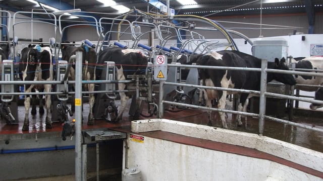 Call for co-ops to pay 48c/L base milk price for August supplies