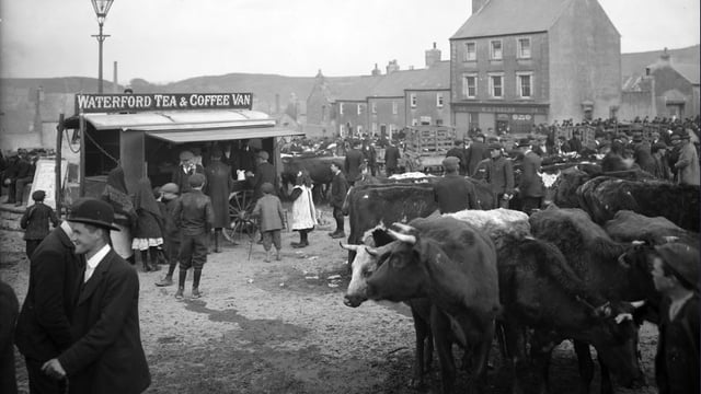 Dairy farmers urged to 'regard the cow as a machine' in 1932