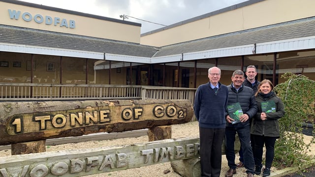 Doyle visits timber processor to discuss Irish forestry policy