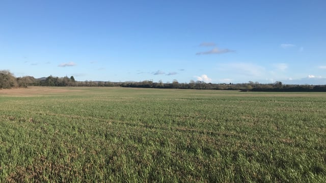 63ac roadside holding for sale at Campile, New Ross