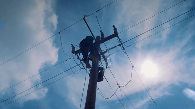 Agriland and ESB Networks to launch ‘Spring Safety Series’