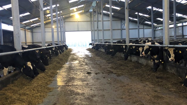 Dairy focus: 'It was the right time to come home; my father was ready to take a step back'