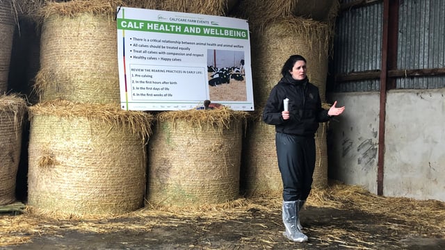 'Calf health is a good measure of calf welfare' on farms