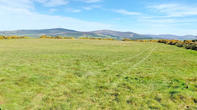 42ac farm for sale in '1 or 2 lots' on the Dublin/Kildare border