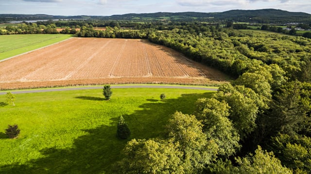 Agricultural land value in 2021 saw strongest growth since 2013