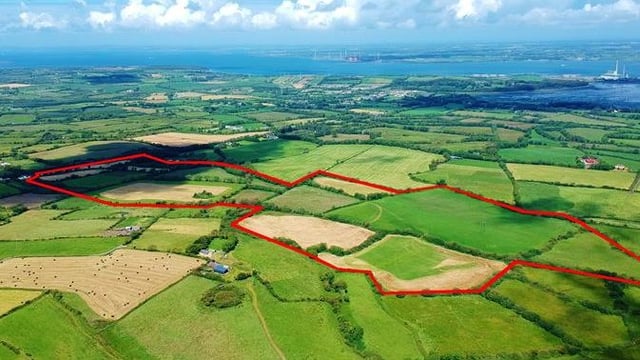 Munster market: High-quality grassland up for grabs in 2 locations
