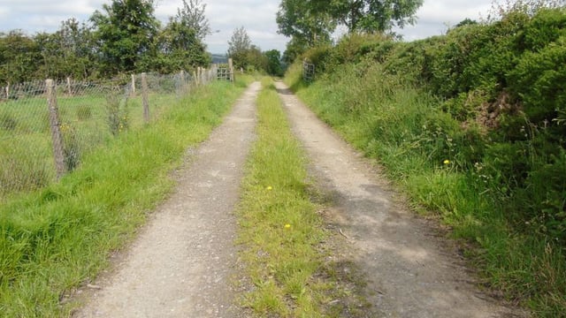 Humphreys announces €40 million to upgrade rural laneways