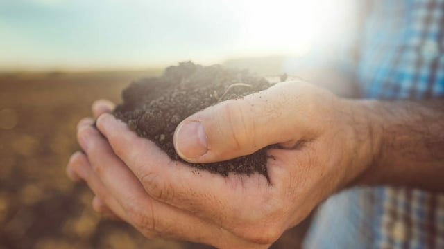 Public invited to contribute to preparation of new EU Soil Strategy