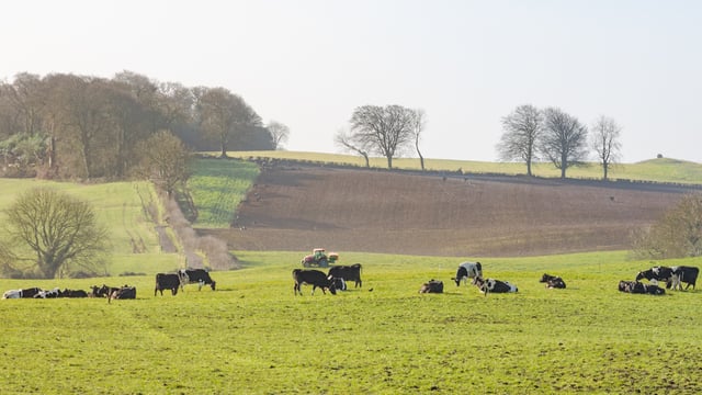 Carbon budgets: Ministers to be subject to 'comply or explain' enforcement