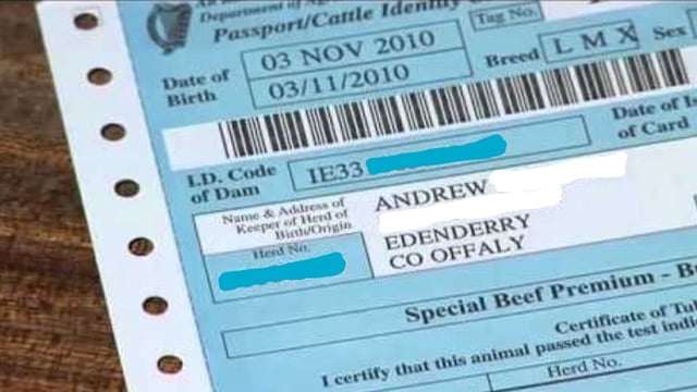 Extra dam data to be included on bovine passports
