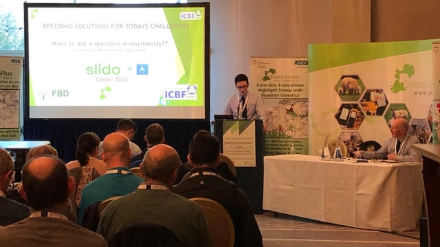 'We need more commercial flocks to start performance recording' - Sheep Ireland's Kevin McDermott