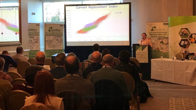 'How many lambs are too many?' - Sheep Ireland conference