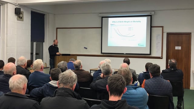'Digestible undegradable protein is essential for colostrum production' - Teagasc