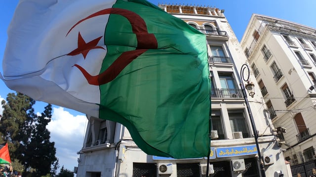 Ireland 'has to build' on Algeria live export development - ICMSA