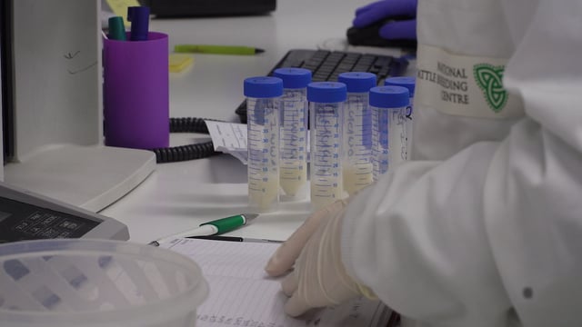 Department removes Cork surveillance zone following January rabies case