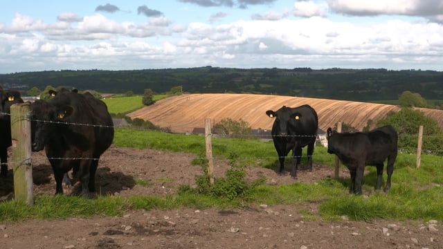 New minister's 'duty of care' must 'extend equally' to all farmers - INHFA