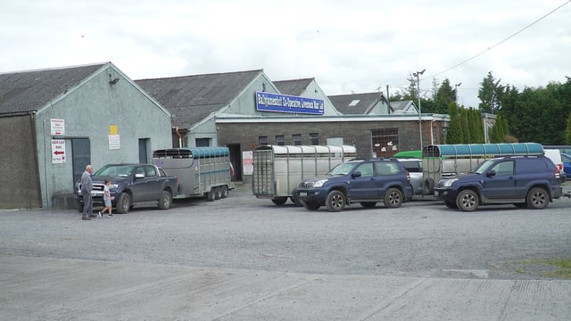 Watch: Boards to promote well-being set up at Ballyjamesduff Mart
