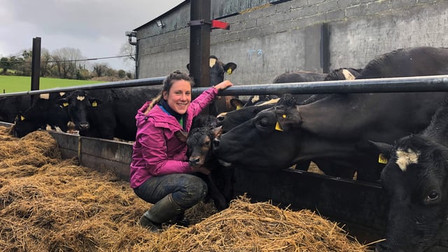 Dairy focus: First experience managing a 290-cow dairy farm in Co. Wexford