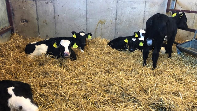 Opinion: Suspending straw measure is not the end of the world