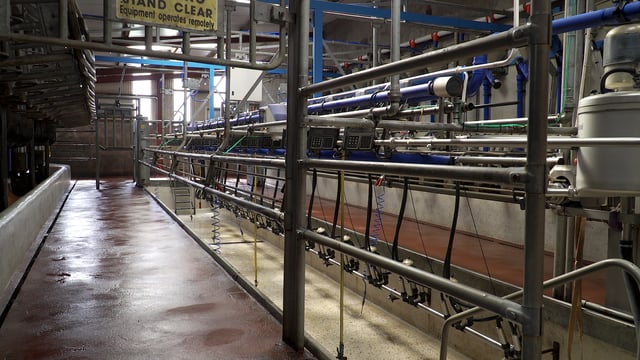 May milk intake rises 3.5% compared to same month last year
