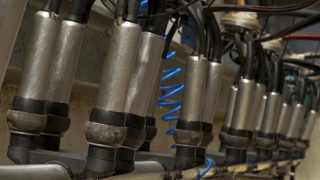 Report examines out-of-season bonuses from dairy processors