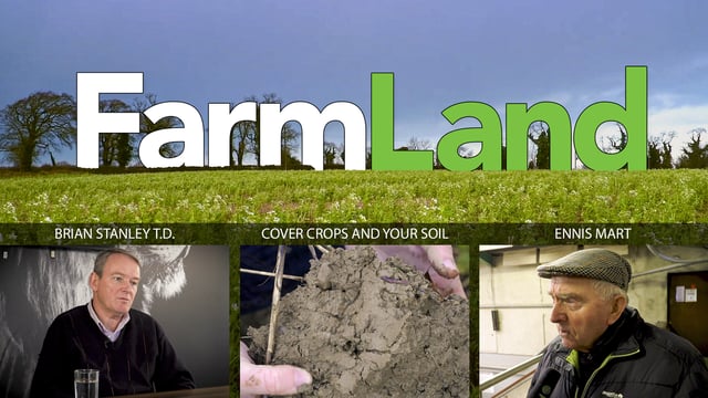 This week’s FarmLand: Ennis Mart, cover crops and Sinn Féin on farming