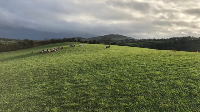 Weather conditions to remain cold and unsettled this week