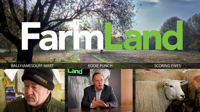 This week’s FarmLand: Eddie Punch; election reaction; and BCS of ewes