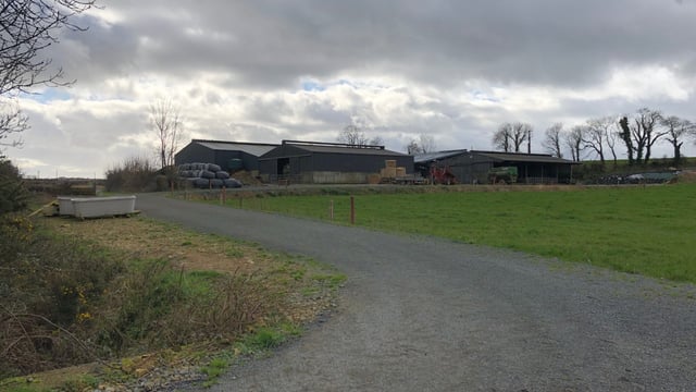 Infrastructure focus: Going the extra step to improve cow flow and comfort in Co. Wexford