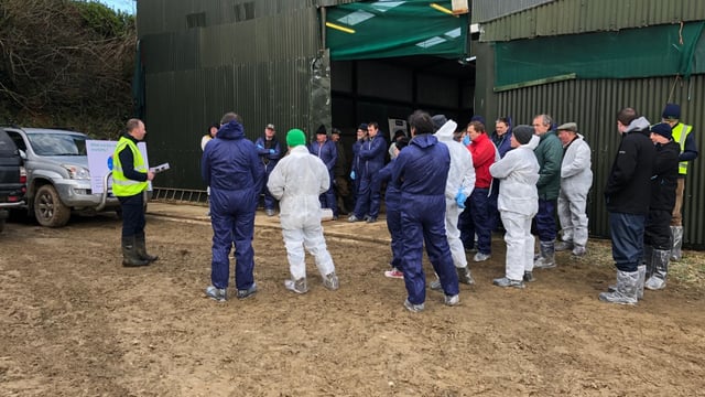 Pre-lambing workshop: How important is hygiene?