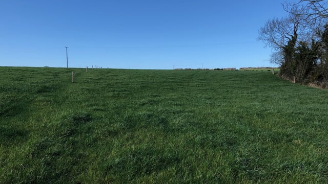 Nitrates derogation: What are the new measures in place for 2020?